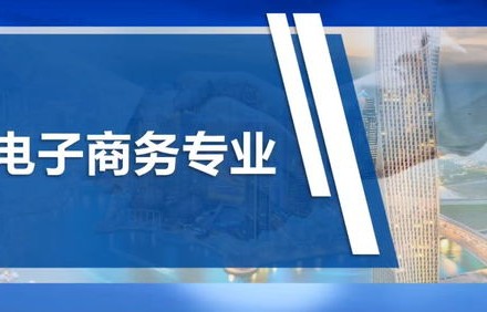 初中电子商务专业技能