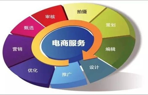 电子商务是什么院系专业