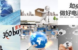 计算机专业从事电子商务