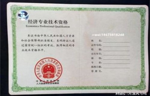 电子商务专业中级职称
