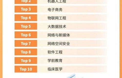 电子商务学专业就业率
