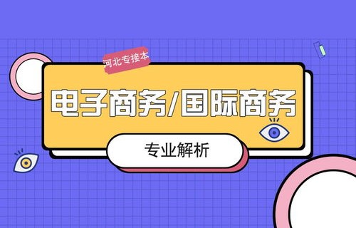 电子商务专业可以编程吗