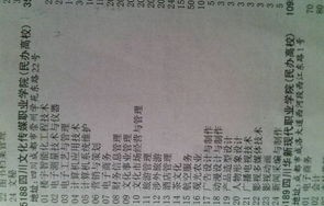 幼专有没有电子商务专业