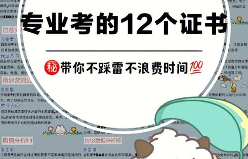 电子商务专业报考工科