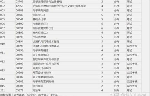 电子商务专业有分类吗