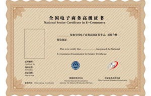 电子商务专业必考证书