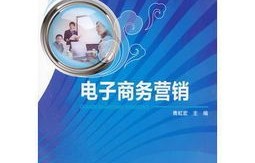 电子商务专业高级工
