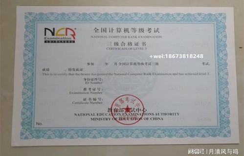 电子商务专业需要考的证