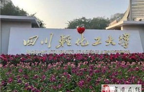 四川轻化工电子商务专业