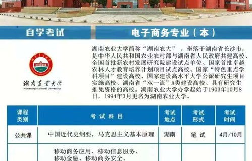 南充电子商务专业专升本