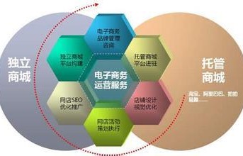 物理方向的电子商务专业