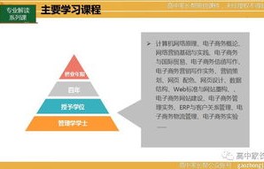 电子商务专业的认知理解