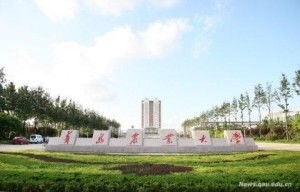 电子商务专业青岛的大学