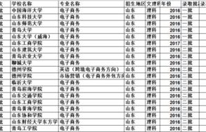 电子商务本科可选专业