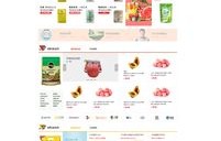电子商务专业咨询工程师
