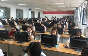 高职电子商务类专业就业