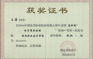 大一电子商务的专业导论