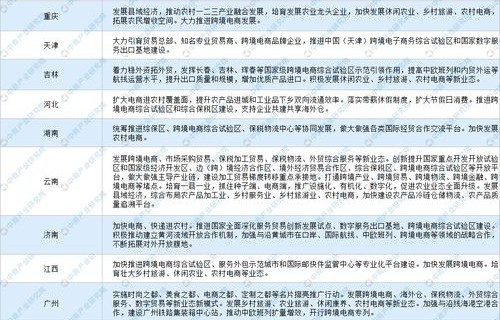 电子商务专业志愿怎么写