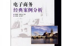 电子商务跨专业成功案例