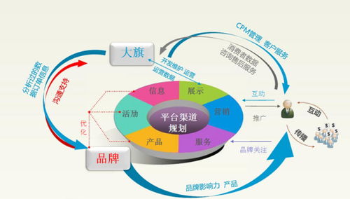 电子商务的专业范围