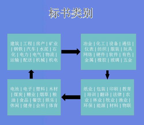 电子商务专业焦点怎么写