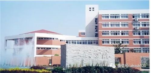 安徽电子商务专业升本
