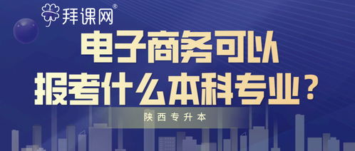 报考专业要求电子商务类