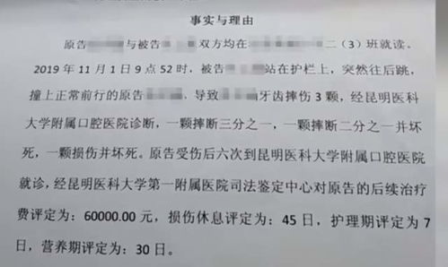学生摔倒家长索赔8万被驳回，校园安全责任边界何在？