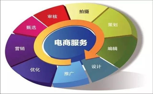 电子商务专业的大类是