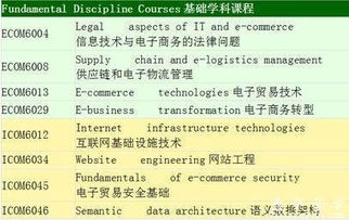 电子商务专业领域的认识