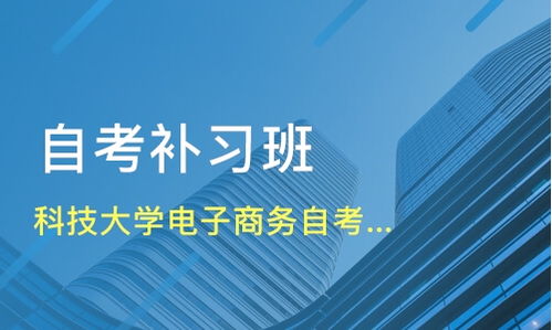 电子商务本科有什么专业