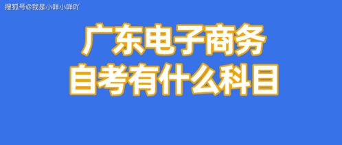 自学电子商务专业怎么样
