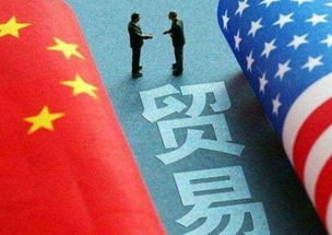 除稀土外美国还依赖中国的什么产品