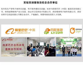 国际电子商务与会计专业