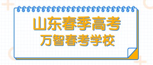 春考专业知识电子商务