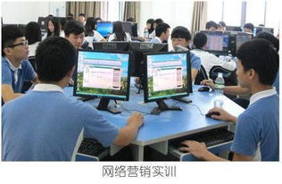 电子商务中专业都学什么