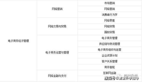 全国电子商务本科专业