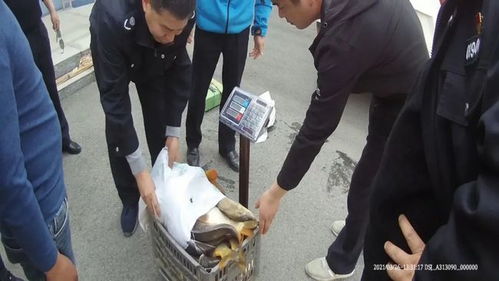 男童遭虐待致轻伤二级，生父涉嫌犯罪被刑事拘留